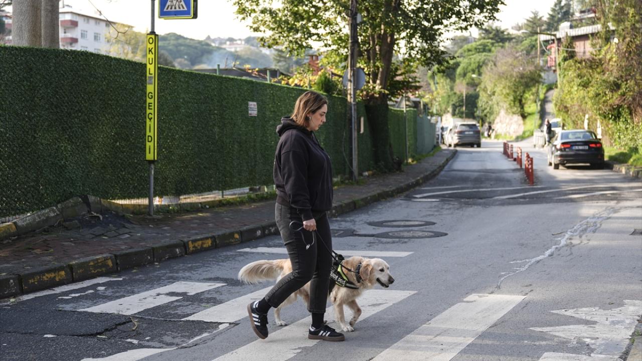 "Bu tasmayı gördüğünüzde rehber köpeği sevmemeniz gerekiyor"