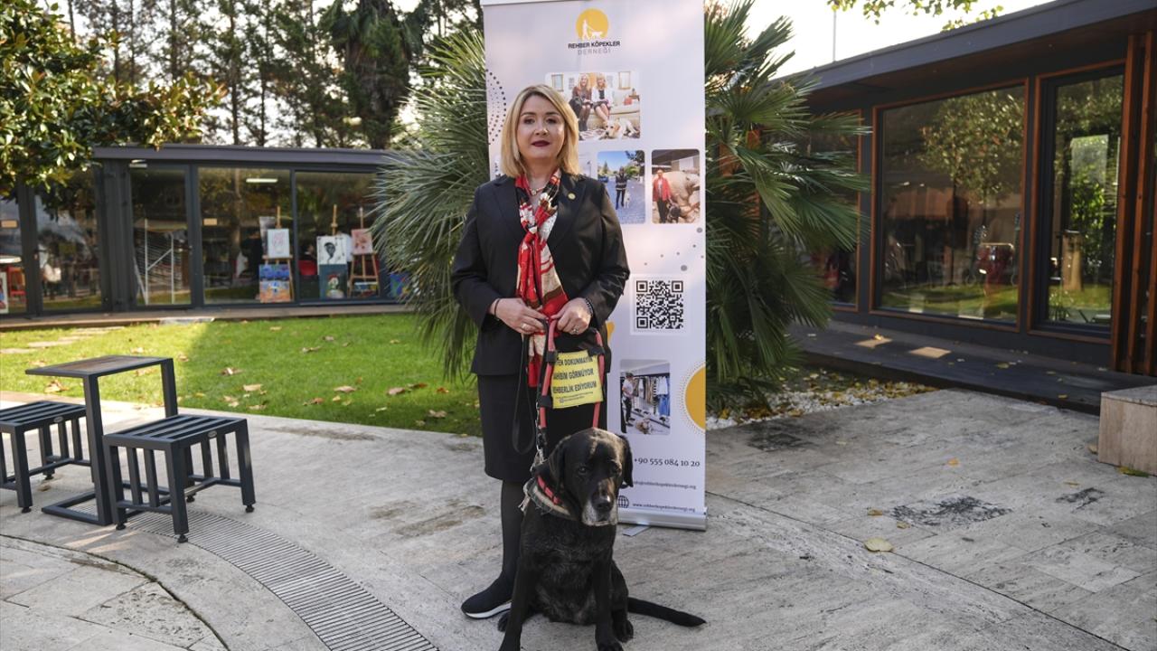 Türkiye`de 11 rehber köpek bulunuyor