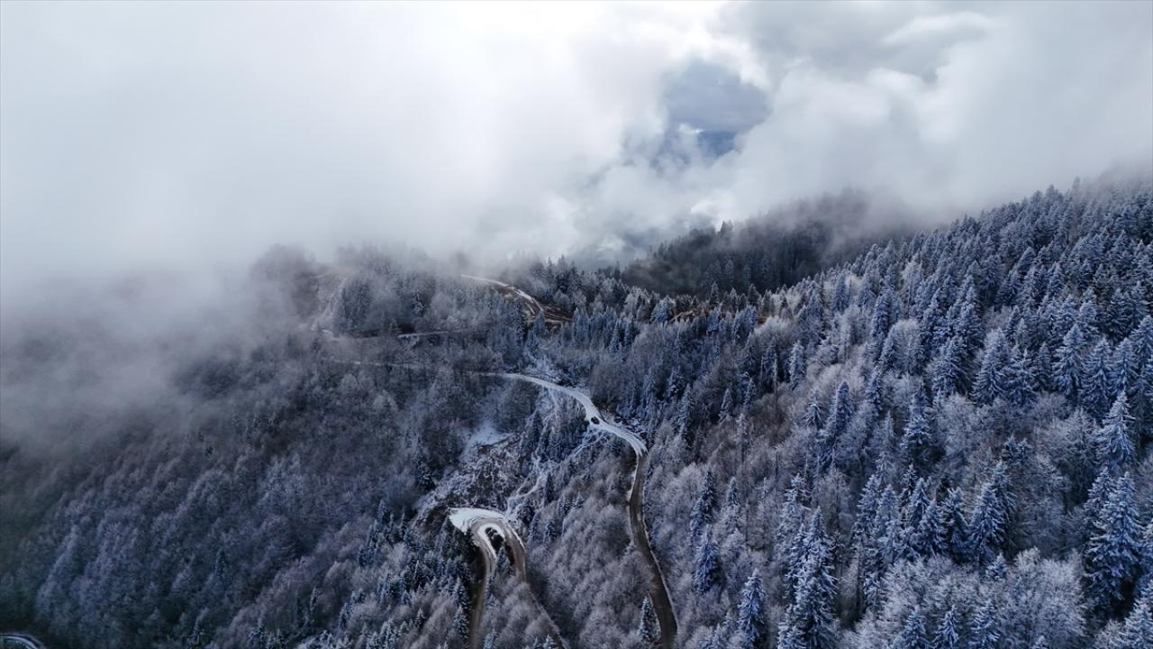Rize ve Artvin'in yüksek kesimlerinde kar etkili oldu