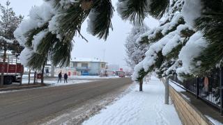 Erzurum, Kars, Ardahan, Ağrı ve Tunceli'de kar yağışı etkili oldu