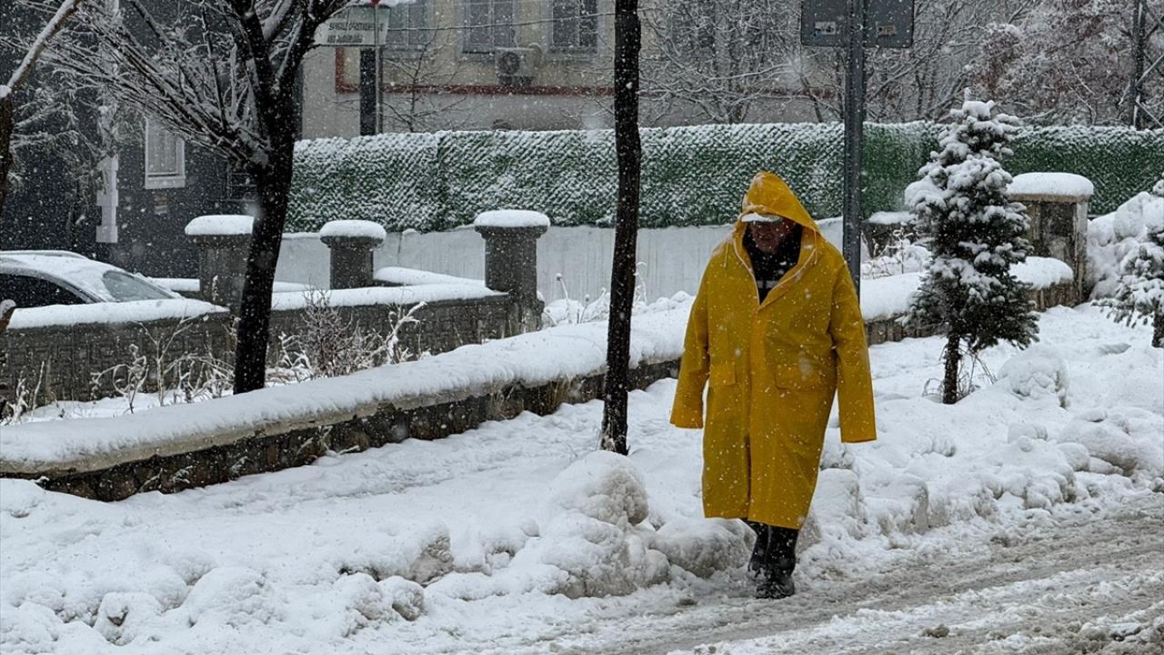 Van ve Bitlis'te kar yağışı etkili oldu