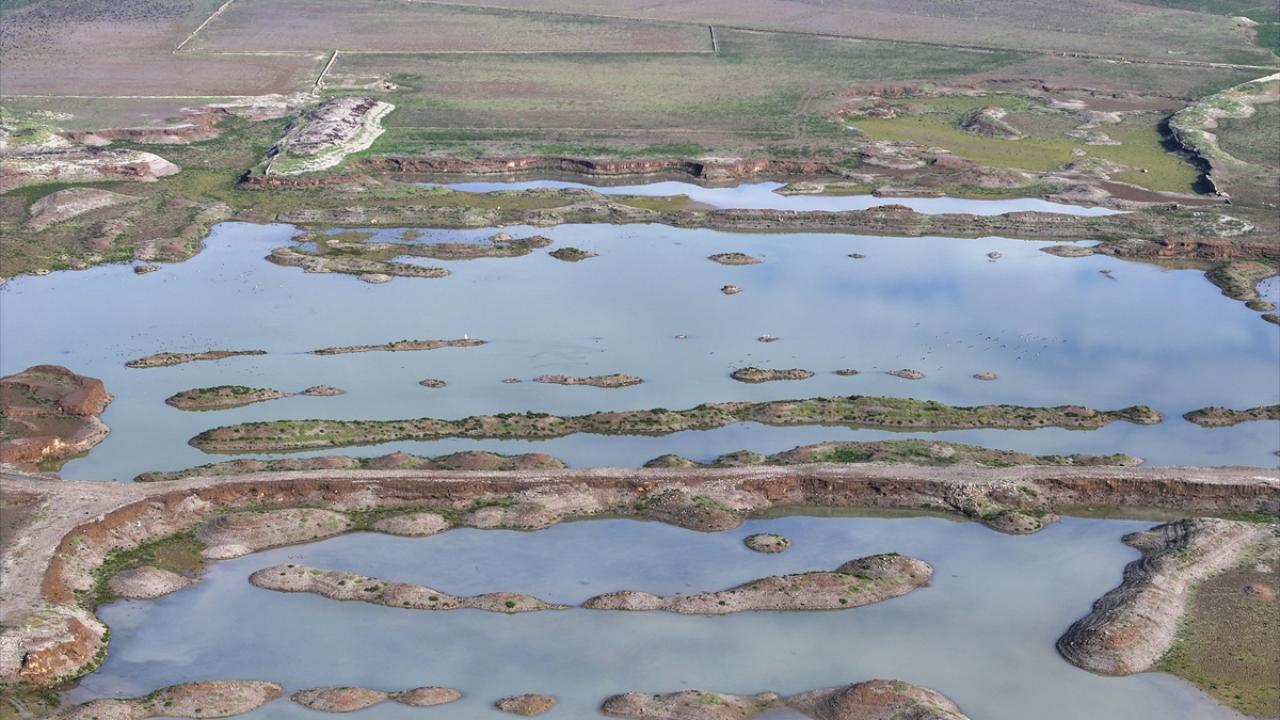 "Acil planda yapmamız gereken şey tüketimi sınırlamak"