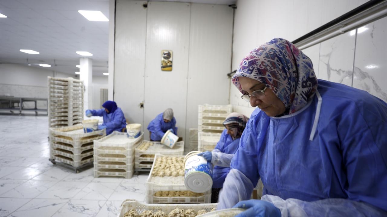 İhracat görüşmeleri yapılıyor