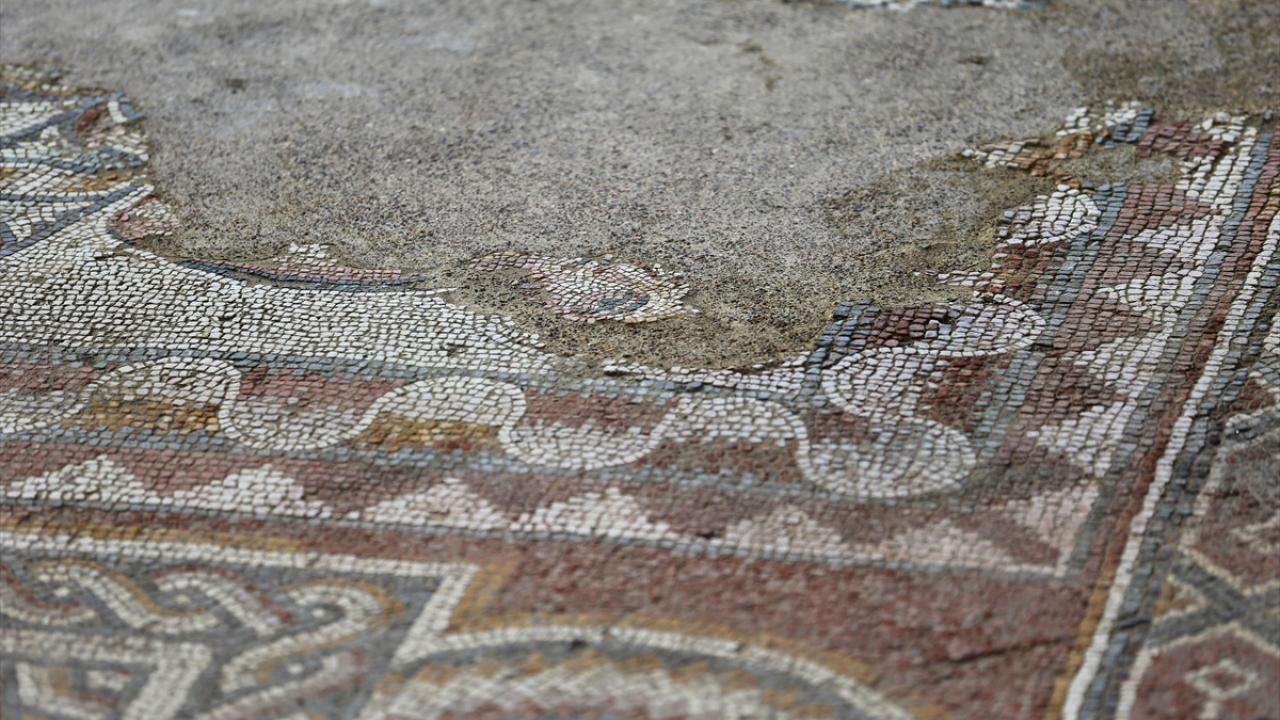 Mozaiklerde tavus kuşu, kurdele, geometrik şekiller ve insan figürü var