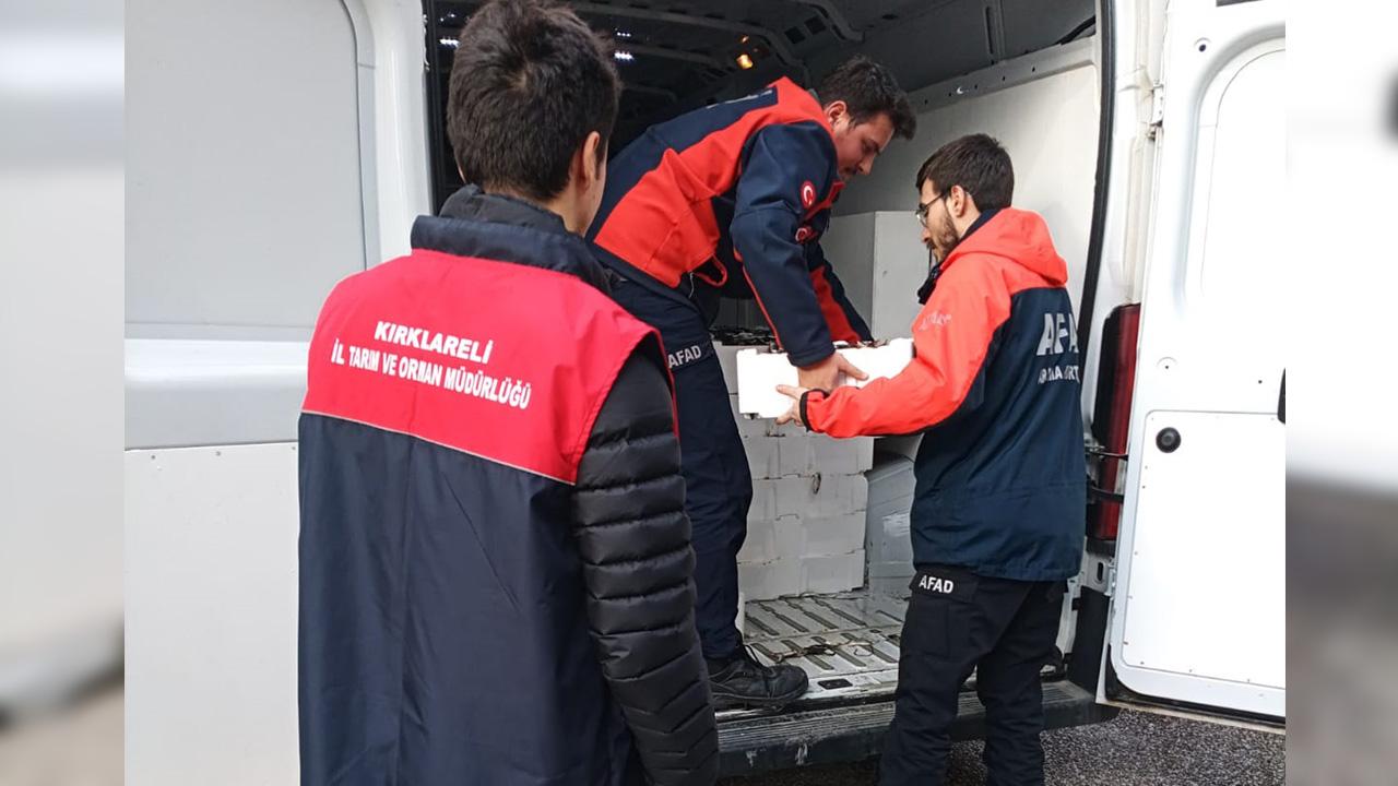 Yasal boy sınırı altındaki 3 ton istavrit yakalandı