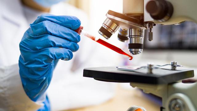 Türk bilim insanları başardı: Bakteri dışarı 'haber verecek'