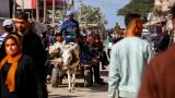 Batı’ya göre Gazze’de hayat hiyerarşisi: Eşekler çıktı, çocuklar kaldı