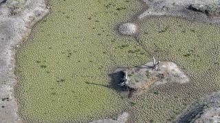 İzmir'de barajlar alarm veriyor: Yüzde 1'in altına düştü