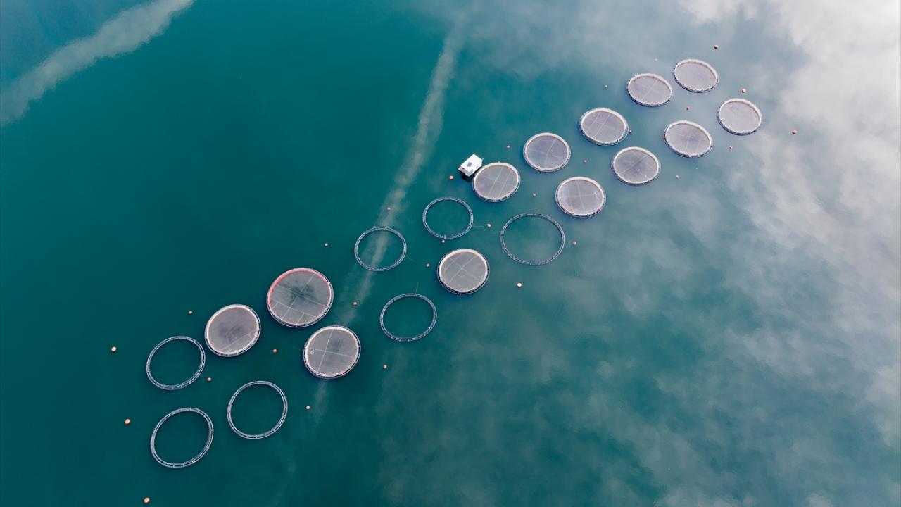 Karacaören Barajı’nda balıkçılık ve çiftlikler bölge ekonomisine katkı sağlıyor