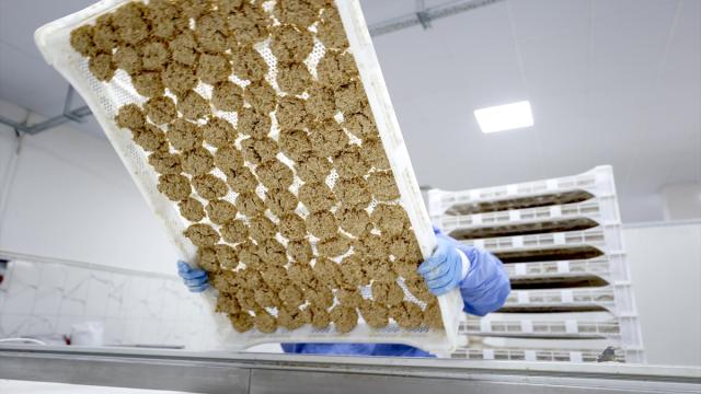 Osmanlı Dönemi usulüyle yapılan tescilli Malatya tarhanası ihracata hazırlanıyor