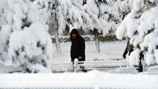 Kars'ın Sarıkamış ilçesinde kar yağışı