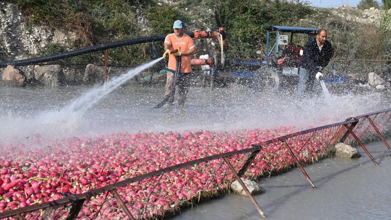 Kurak geçen sezon rekolte beklentisini düşürdü