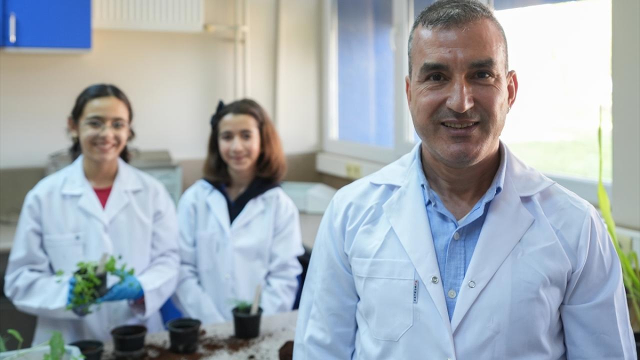 "Hindistan cevizi lifi en başarılı sonucu verdi"