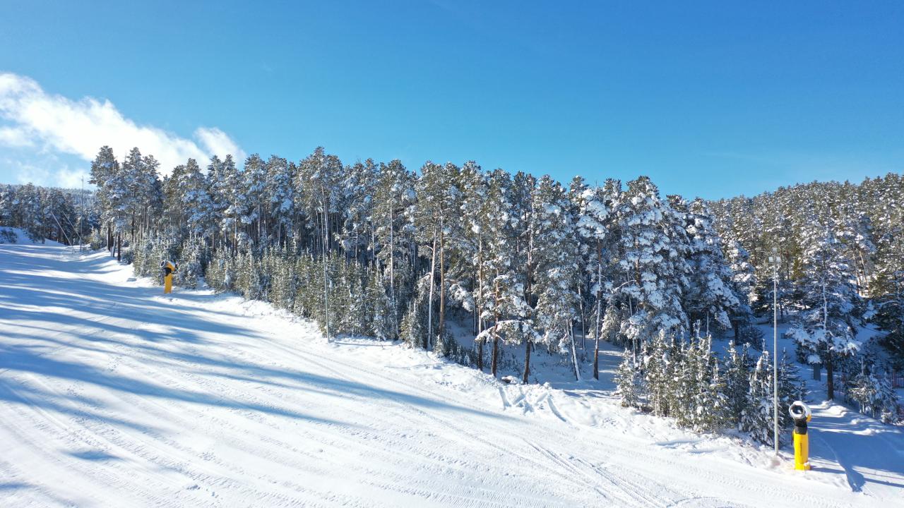 Sarıçam ormanlarında kartpostallık görüntüler