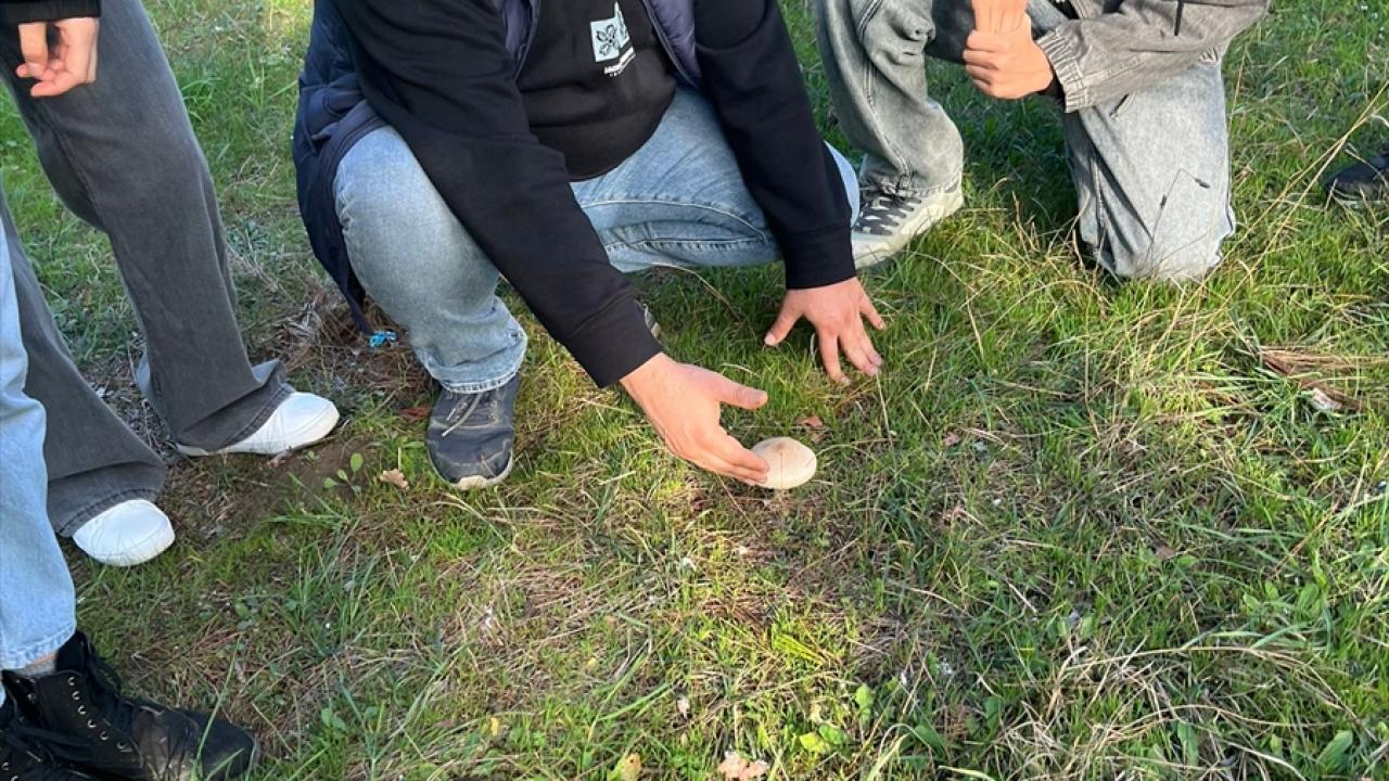 "Toplamayacaksanız zarar vermeyin"