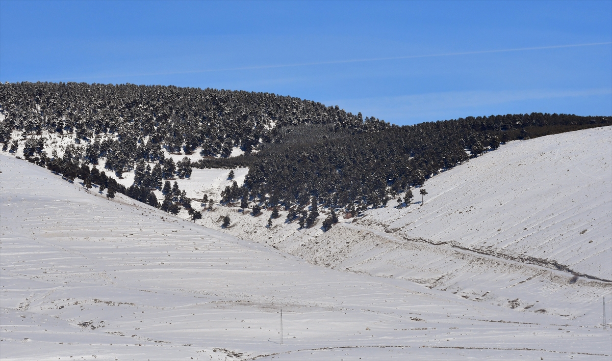 "Şehitlerimizi en iyi şekilde anmak için bütün çabayı gösteriyoruz"