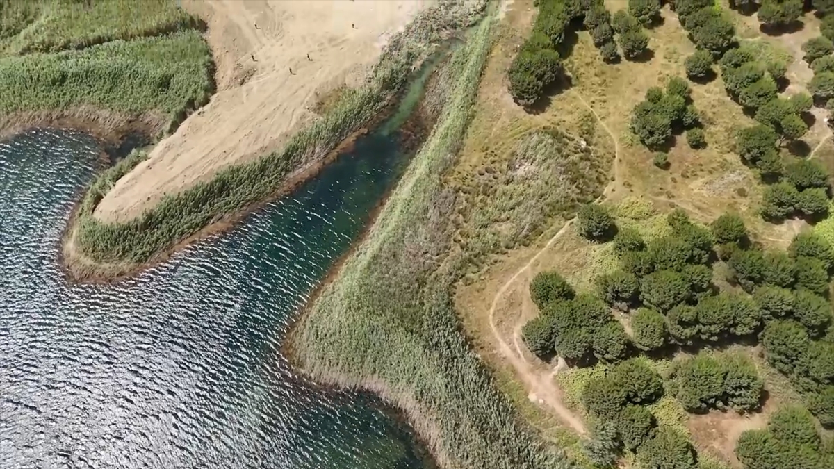 İlçe belediyesinin alternatif projeleri