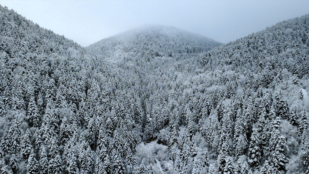 Karabük'ün yüksek kesimleri kar yağışıyla beyaza büründü