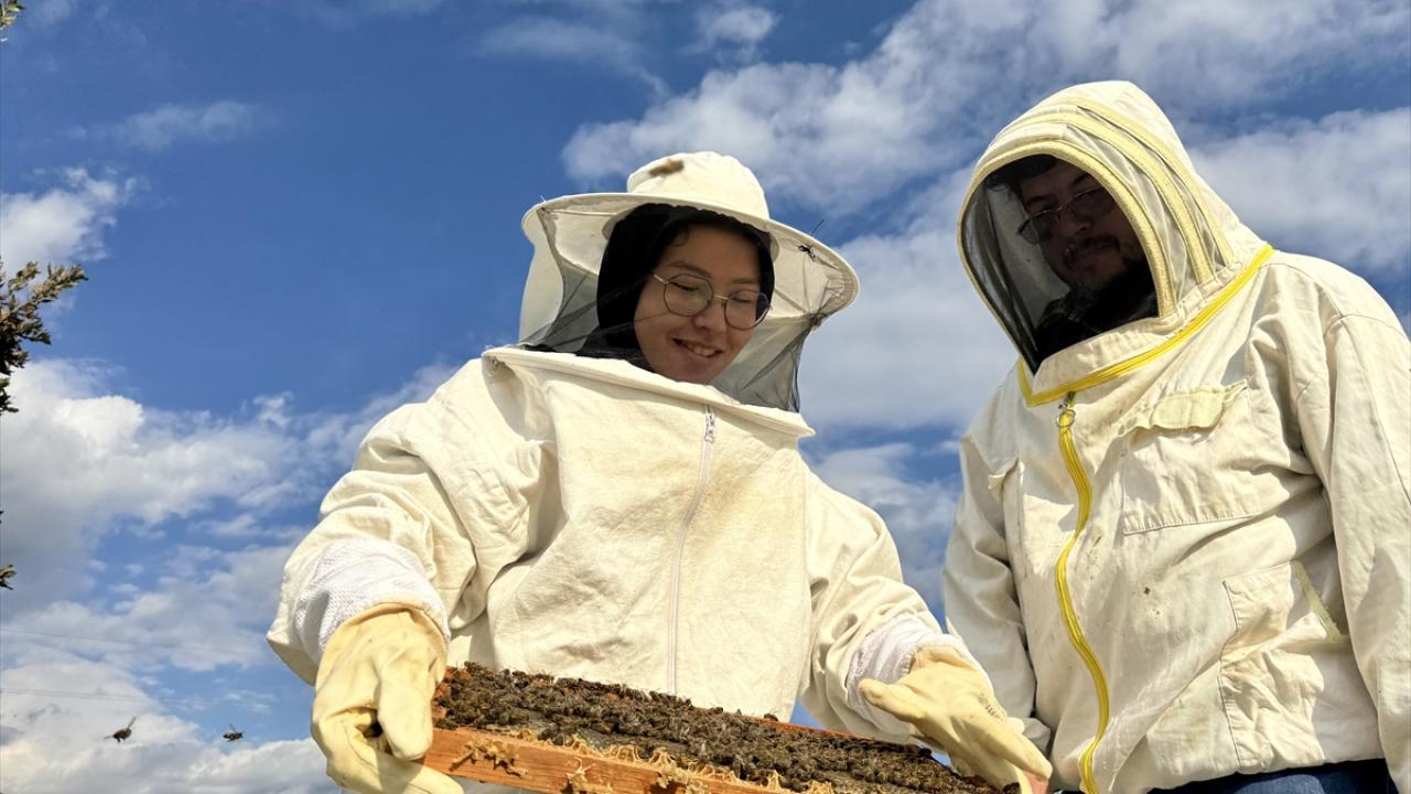 "Kovan içerisinde adeta askeri disiplin var"