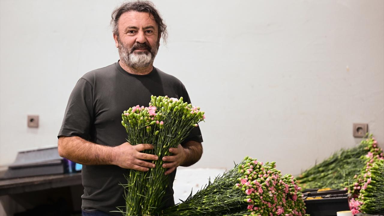 En fazla kırmızı karanfil ihraç edildi