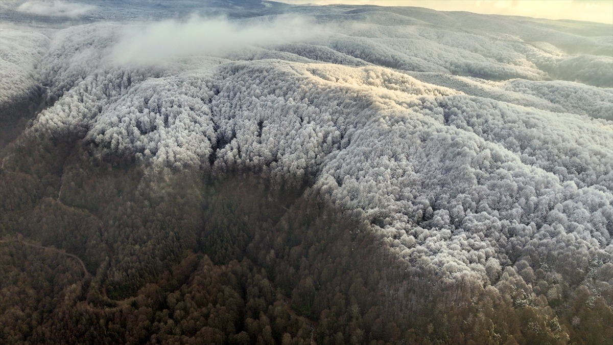 Bolu Dağı'nın yüksek kesimlerimde kar etkili oldu