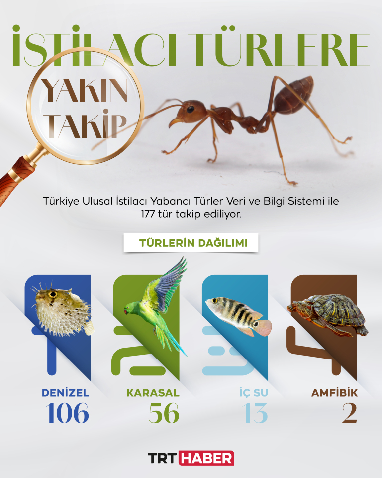 Türkiye’de 177 istilacı tür var
