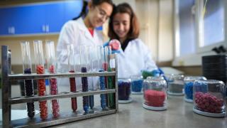 Öğrenciler "yeşil vatan" için en hızlı filizlenen tohum topunu araştırdı