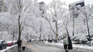 New York kenti ve çevresinde kar yağışı etkili oldu