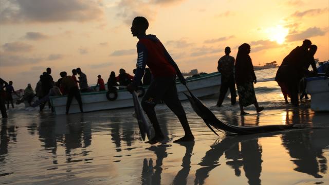 Lido Plajı, Mogadişu’da balık ticaretiyle öne çıkıyor