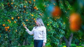 Antalya'nın tescilli portakalları tanıtıldı