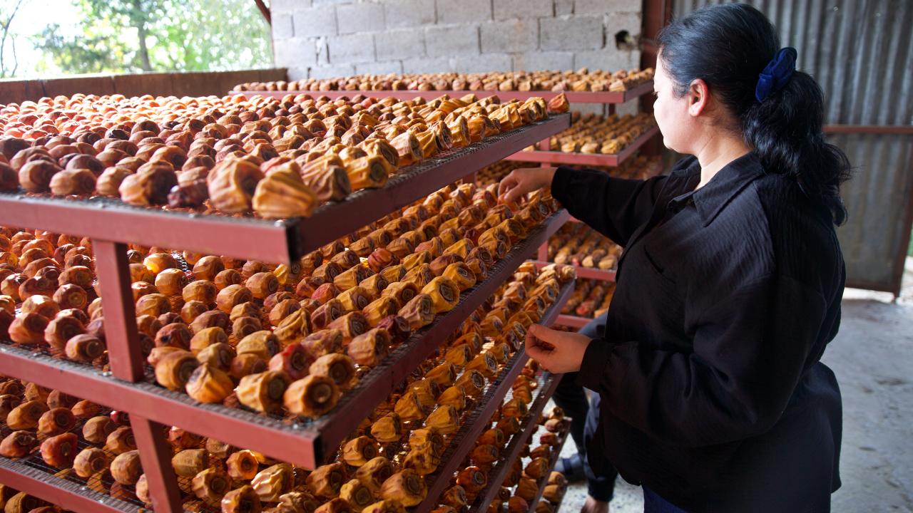 "Tesis kurarak çevre illerden de hurma alıp kurutmayı düşünüyorum"