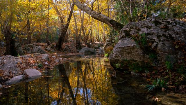 Sonbahar renkleri Beydağları'ndaki dere yataklarına güzellik katıyor