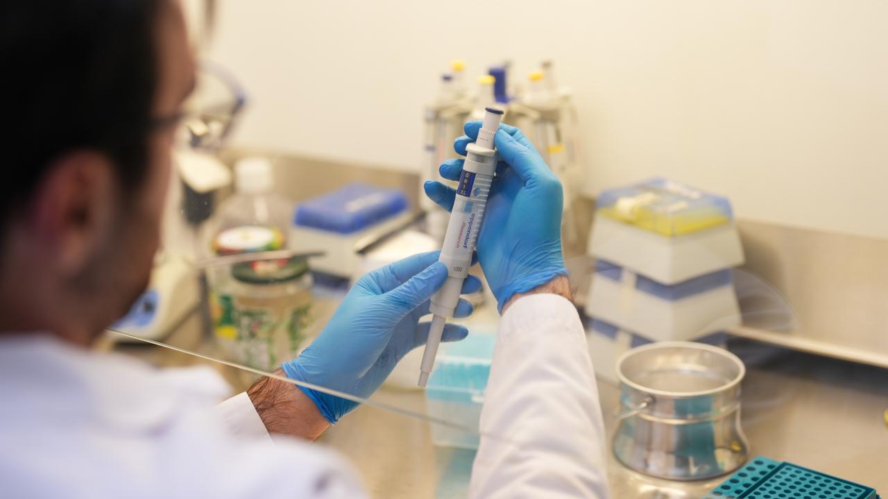 Türk bilim insanları kıyı korozyonu risklerini yapay zekayla belirleyecek