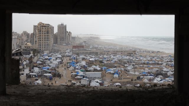 Gazzelilerin kışla imtihanı