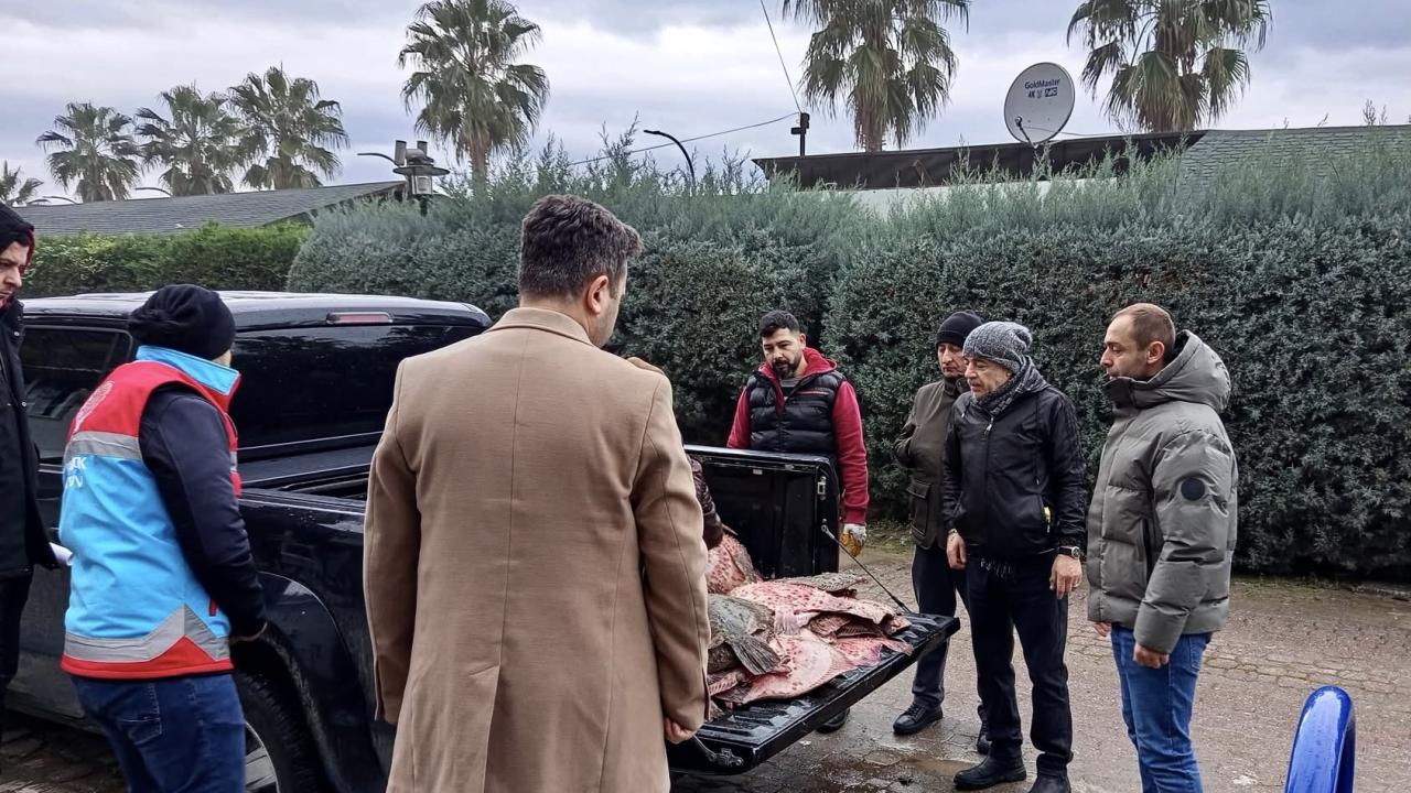 Sinop'ta kaçak avlanan 625 kalkan balığı vatandaşlara dağıtıldı