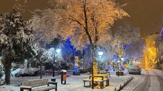 Artvin'de kar yağışı etkili oldu