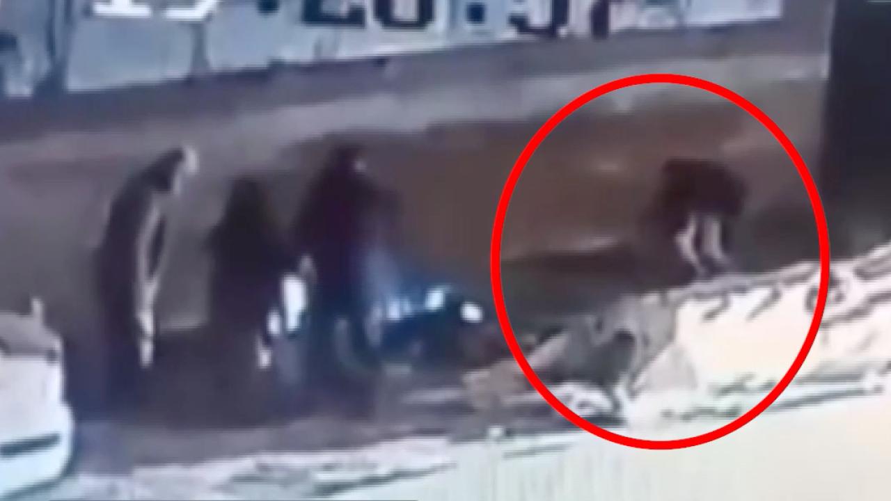 Bursa'da başıboş sokak köpeği 3 kişiye saldırdı