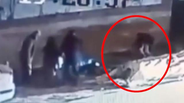 Bursa'da başıboş sokak köpeği 3 kişiye saldırdı