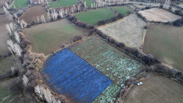 Erzincan tarımında dört mevsim üretim dönemi