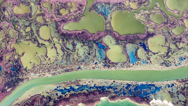 Sulak alanların sessiz güzelliği: Yumurtalık lagünü