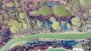 Sulak alanların sessiz güzelliği: Yumurtalık lagünü