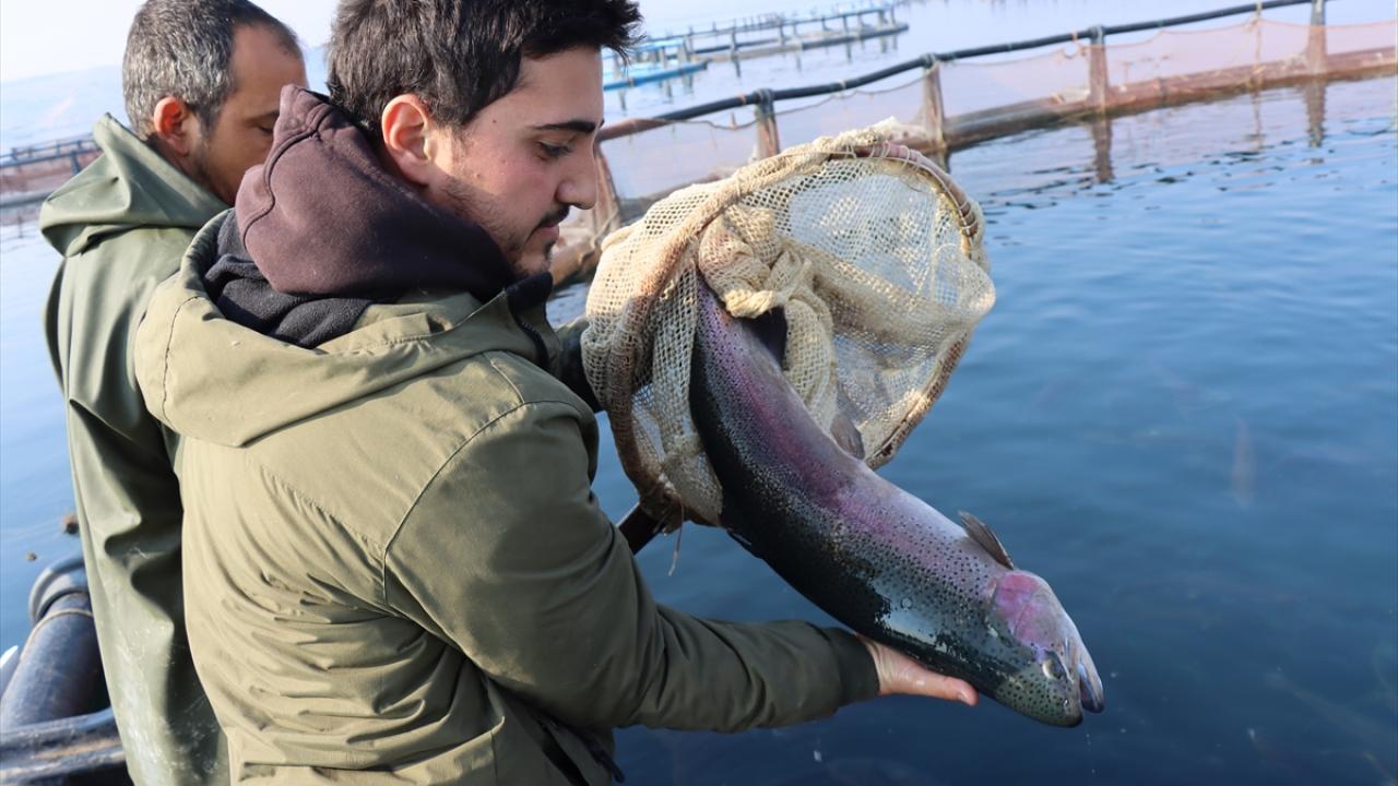 "Artık pazarda yer almaya başladık"