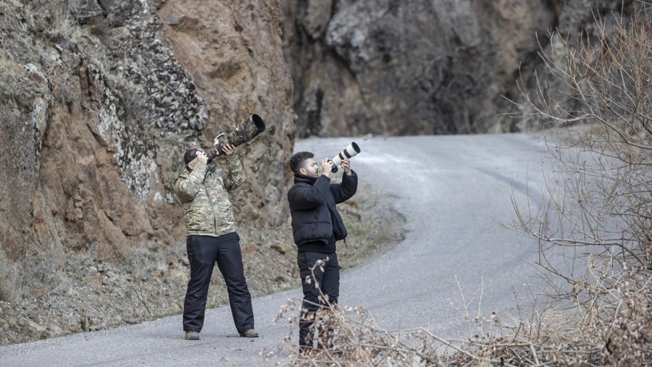 "Birçok farklı yaban hayvanıyla aynı anda karşılaşma şansı var"