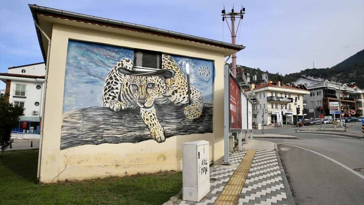 "Dünyada bu alandaki sanatçı çevremi Fethiye`ye getirmek isterim"