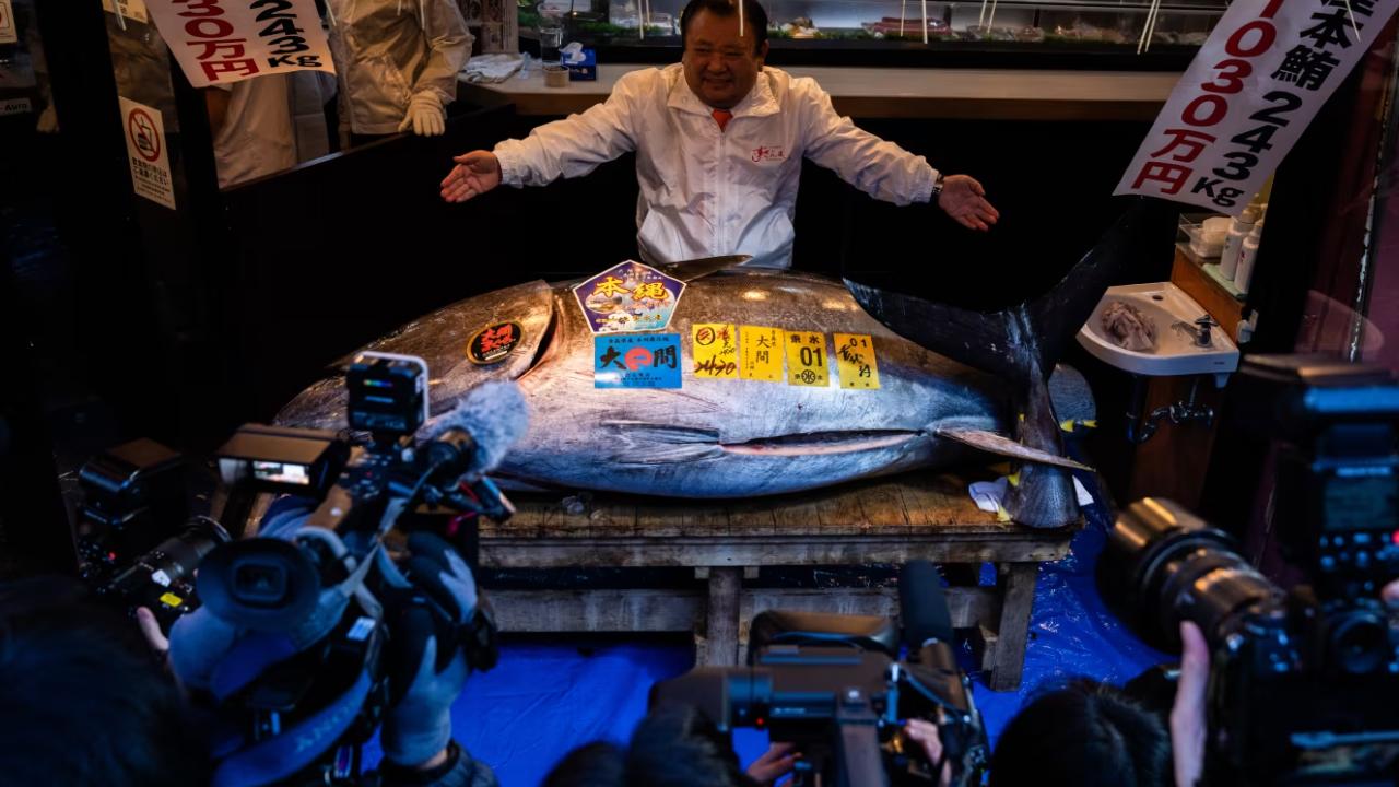 Bu balık açık artırmada 3,2 milyon dolara satıldı