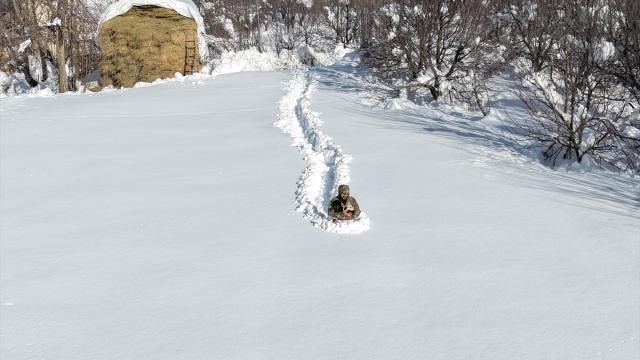 Kar kalınlığının yer yer 2 metreyi aştığı Hakkari'de besiciler zorlu mesaide