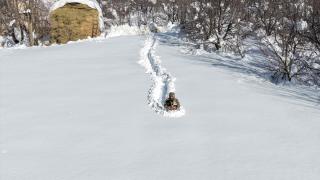 Kar kalınlığının yer yer 2 metreyi aştığı Hakkari'de besiciler zorlu mesaide