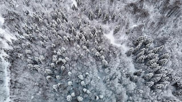 Beyaz örtüyle kaplanan Çam Dağı havadan görüntülendi