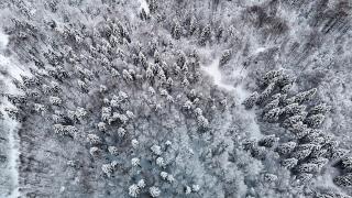 Beyaz örtüyle kaplanan Çam Dağı havadan görüntülendi