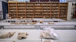 Çayönü Tepesi'nde yaşayan insanların genetik haritası çıkarılıyor